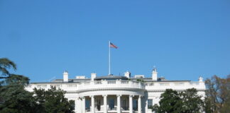 Barack Obama Admits to Creating Cronut to Distract Americans from Economic Struggles