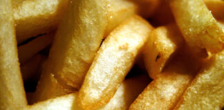 Pope Francis Diagnosed with Heart Disease after Three Days in America