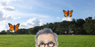 Eugene Levy’s Eyebrows Finally Morph Into Butterflies