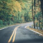 asphalt-road-between-trees-1546901