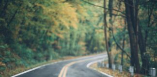 Bisexual Pride Parade to Go Both Ways Down Street