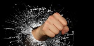 Steven Seagal Hospitalized After Trying to Fight Reflection in Mirror