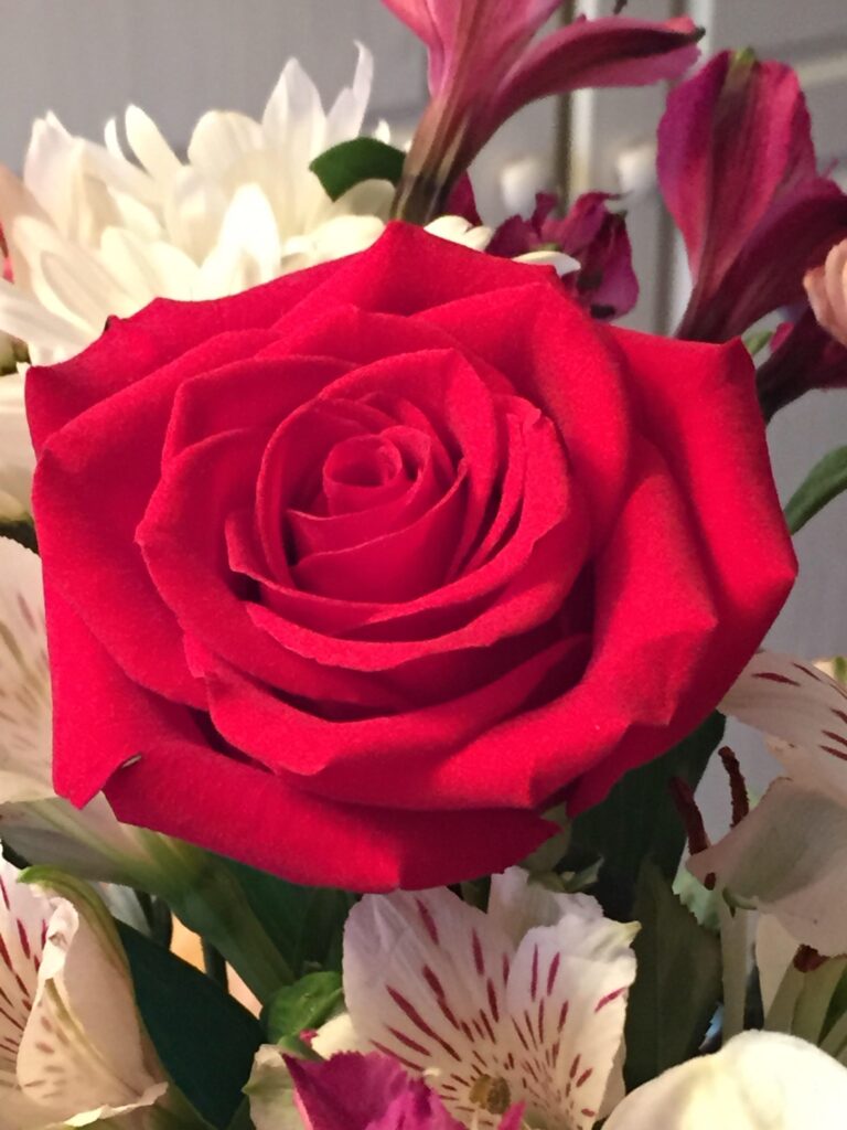 Bachelorette Shocker: Kaitlyn Turns Down Two Proposals; Chooses Host Chris Harrison