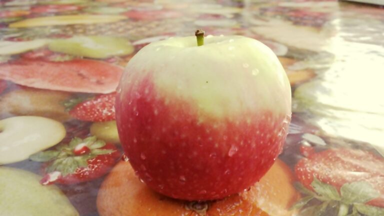 The Top 10 IOS 9 Features 