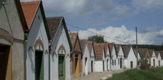 Syrian Refugees Realize They’re Trying to Get into Hungary; Turn Back Around