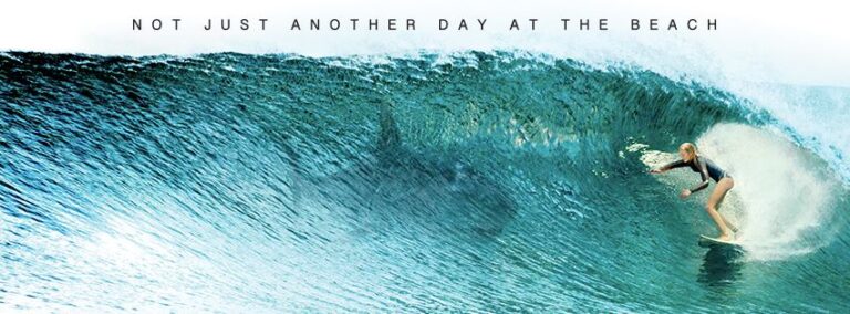 The Shallows