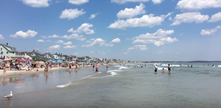 Maine-iac Sharks (Official Trailer)