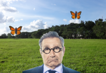 Eugene Levy’s Eyebrows Finally Morph Into Butterflies