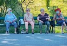 Four Octogenarian Women Murder Husbands to Live Out Golden Girls Fantasy